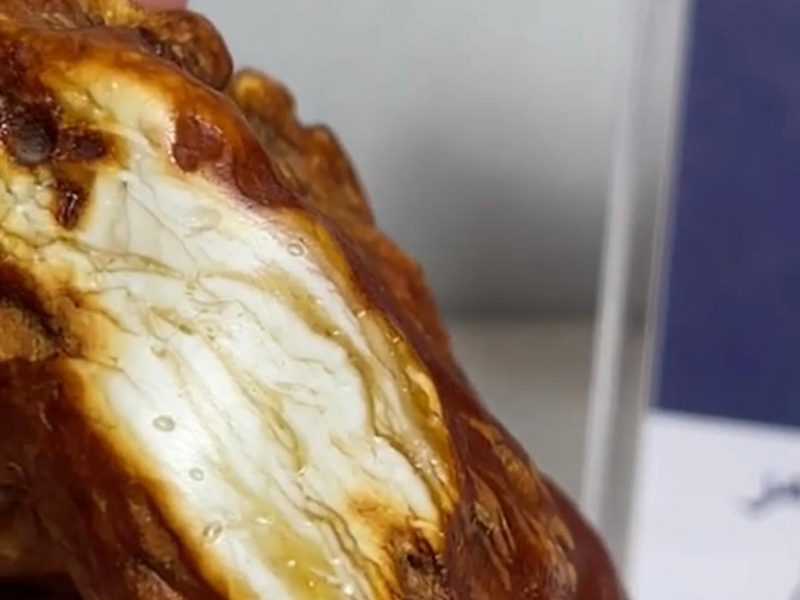 WhatsApp Image 2023-04-21 at 11.38.52