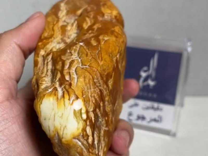 WhatsApp Image 2023-04-21 at 11.38.53