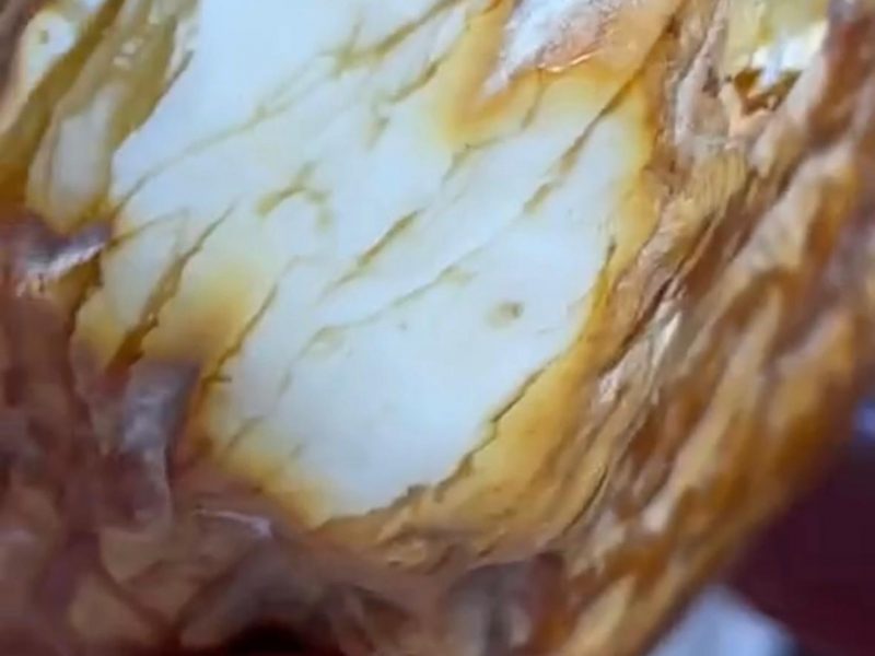 WhatsApp Image 2023-04-21 at 11.38.54 (3)