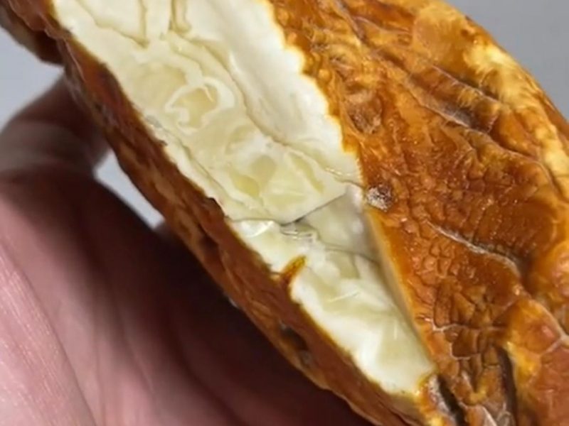 WhatsApp Image 2023-04-21 at 11.38.54