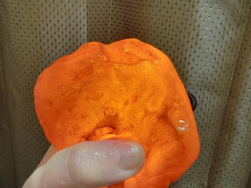 WhatsApp Image 2023-04-21 at 11.38.56 (1)