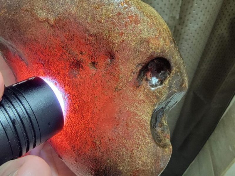 WhatsApp Image 2023-04-21 at 11.38.56 (2)