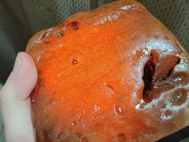 WhatsApp Image 2023-04-21 at 11.38.57 (3)