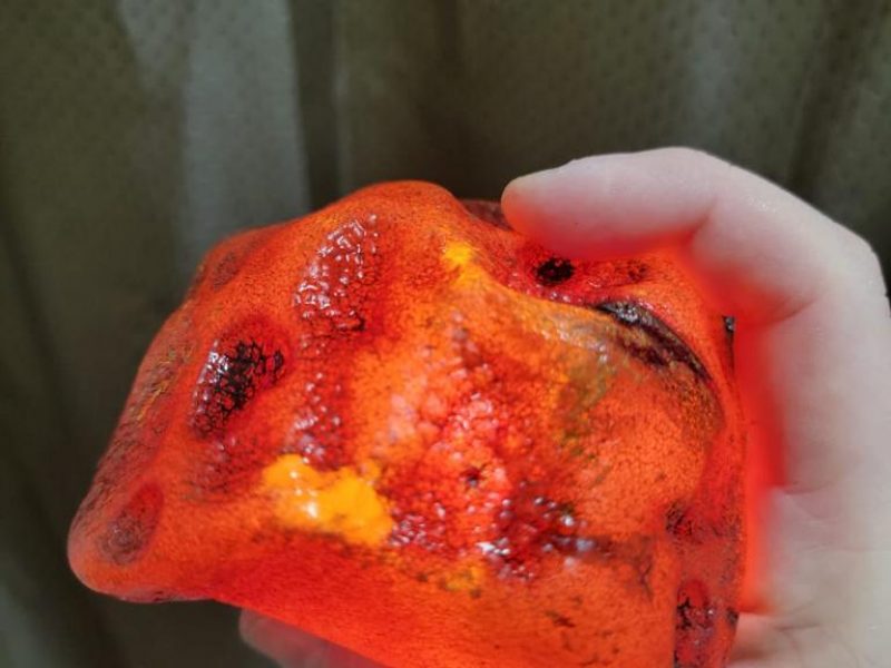 WhatsApp Image 2023-04-21 at 11.38.57