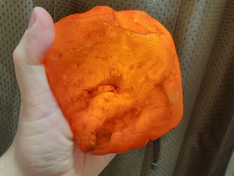 WhatsApp Image 2023-04-21 at 11.38.58 (2)